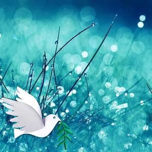 Meet your Posher, Fatima